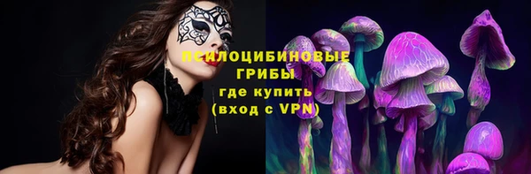 герыч Вяземский