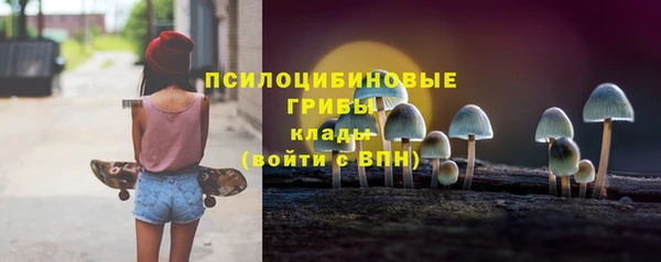 герыч Вяземский