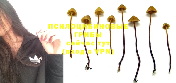 МДПВ Вязьма